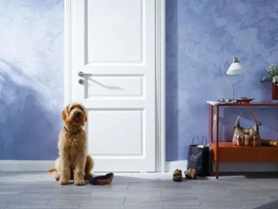 5 nguyên tắc sơn tường nhà đẹp cần nắm rõ