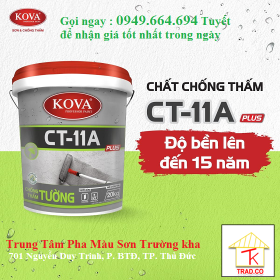 Chất Chống Thấm Kova CT11A (20kg)