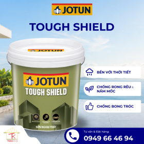 SƠN NƯỚC NGOÀI TRỜI  TOUGH SHIELD - BỀ MẶT MỜ